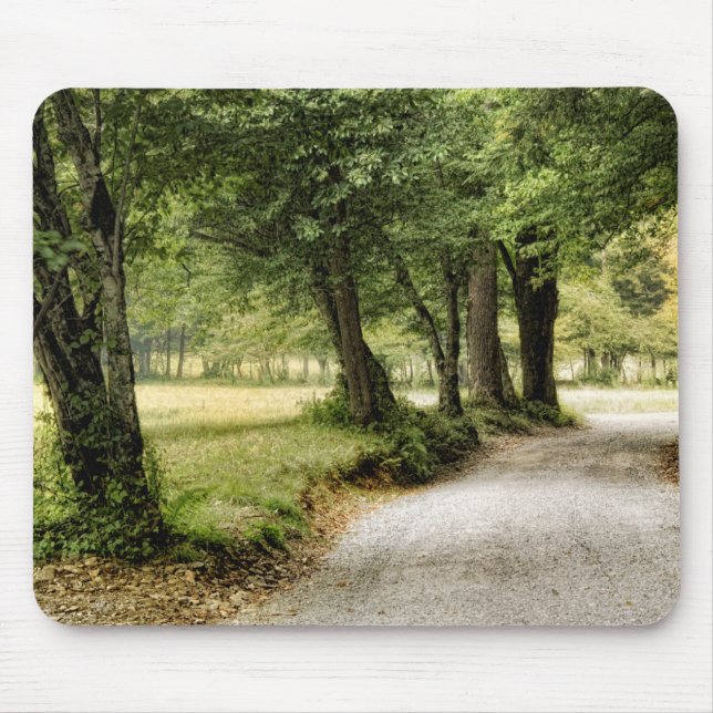 Path in the Country Mouse Mat (Front)