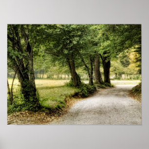 Path in the Country Poster