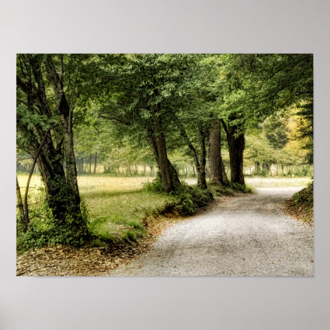Path in the Country Poster (Front)