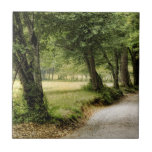 Path in the Country Tile<br><div class="desc">Home Décor</div>