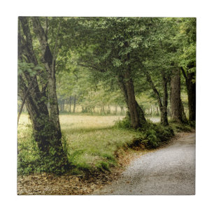 Path in the Country Tile