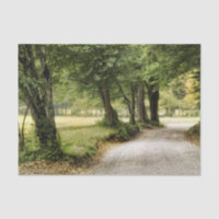 Path in the Country