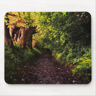 Path in the Dark Woods Mousepad
