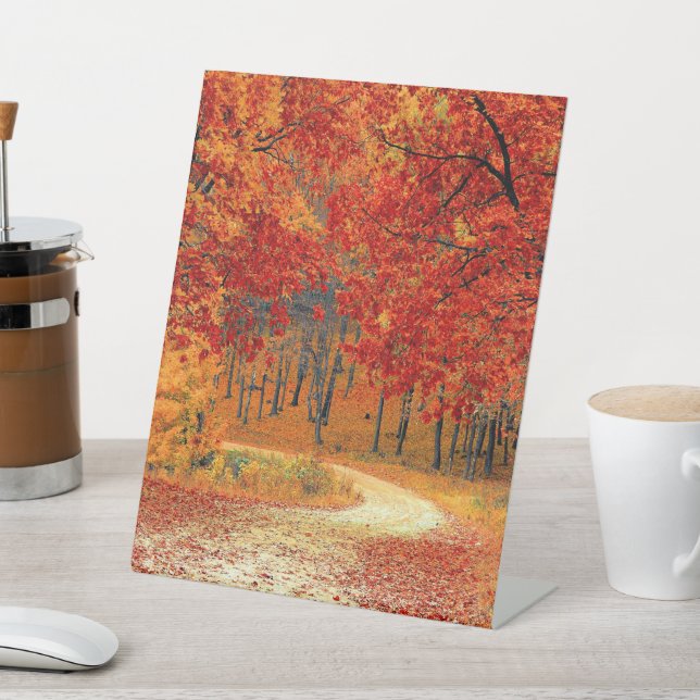 Path in the Forest, Autumn Pedestal Sign (In SItu)