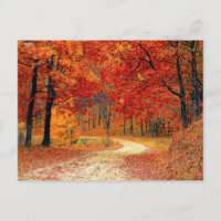 Path in the Forest, Autumn