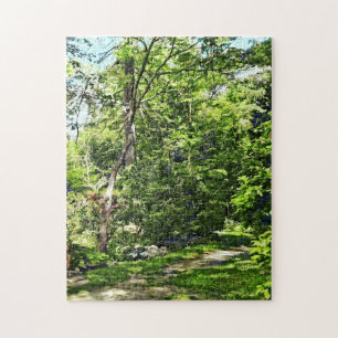 Path in the Park Jigsaw Puzzle