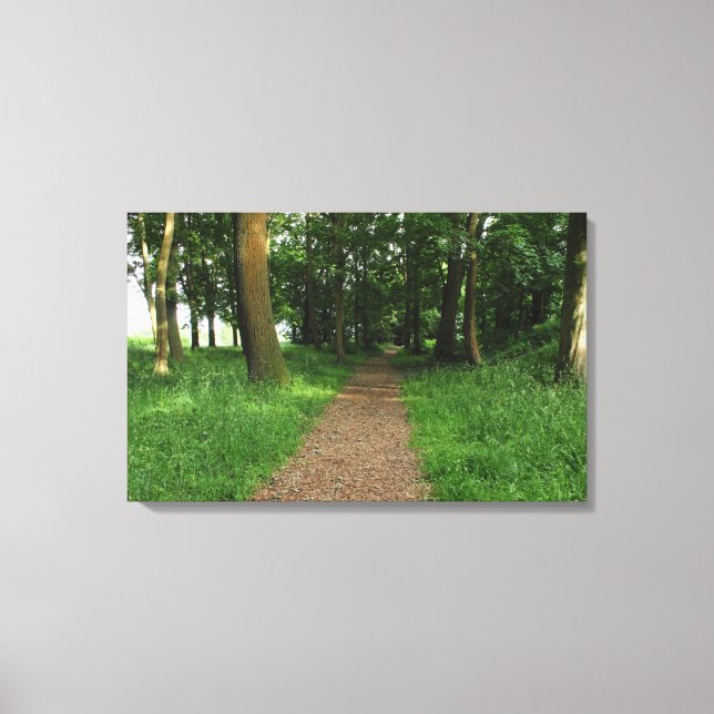 Path in The Woods, Bute Park, Cardiff Canvas Print (Front)