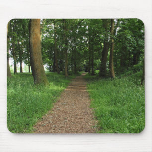 Path in The Woods, Bute Park, Cardiff Mouse Mat