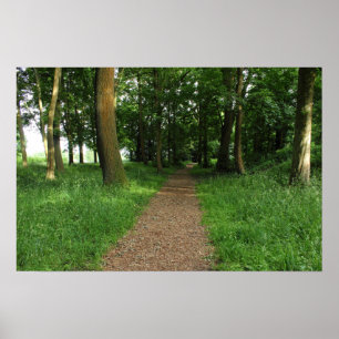 Path in The Woods, Bute Park, Cardiff Poster