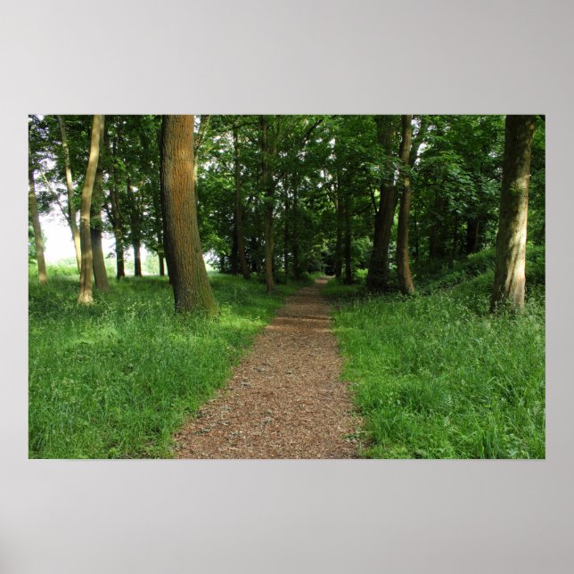Path in The Woods, Bute Park, Cardiff Poster (Front)