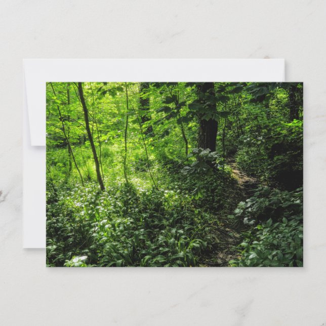 Path in the Woods Card (Front)
