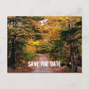 Path in the Woods Fall Save the Date Announcement Postcard