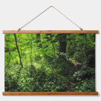 Path in the Woods