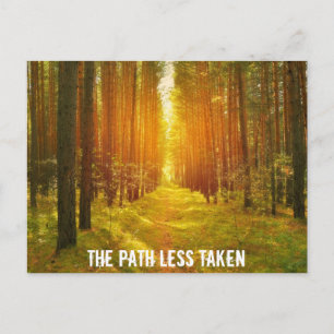 Path in the Woods Postcard
