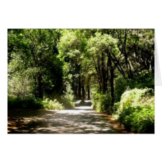 Path in woods