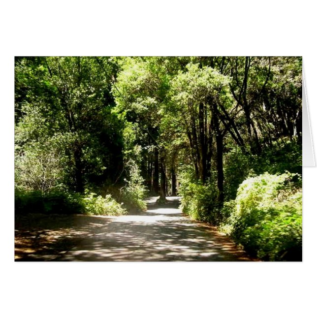 Path in woods (Front Horizontal)