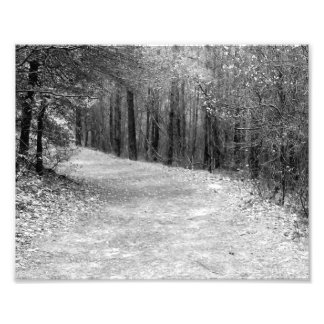 Path Less Travelled B&W Photo Print