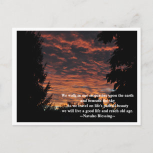 Path of Beauty Postcard