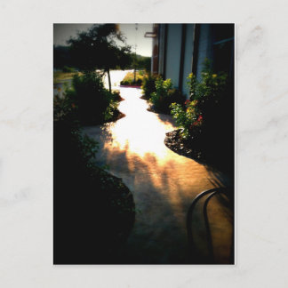 Path of Dreams Postcard
