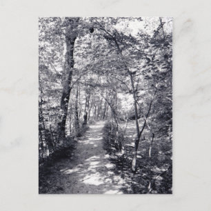 Path of Faith Postcard