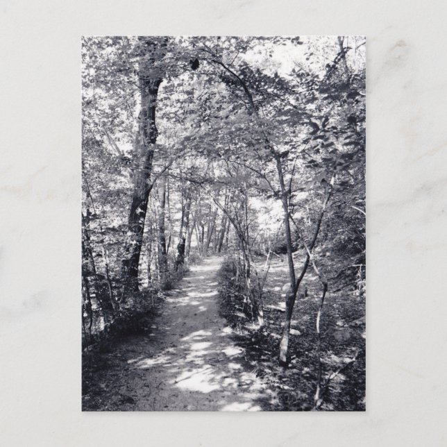 Path of Faith Postcard (Front)