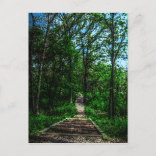 Path Of Life Postcard