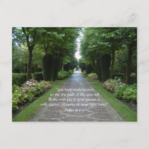 Path of Life Postcard