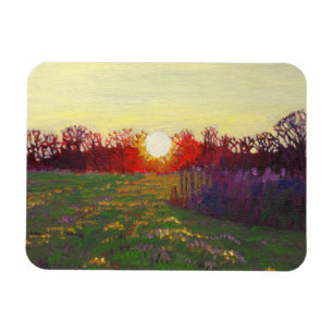 Path of light 2013 magnet
