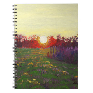 Path of light 2013 notebook