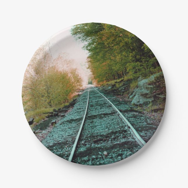 Path of Solitude Paper Plate (Front)