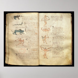 Path of the moon across the constellations poster