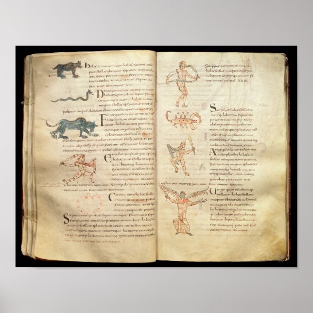 Path of the moon across the constellations poster (Front)