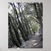 Path Poster with Psalm 119:32
