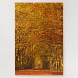 Path through an autumn forest jigsaw puzzle