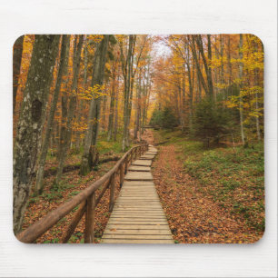 Path through the autumn forest. mouse mat