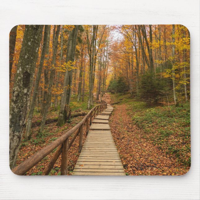 Path through the autumn forest. mouse mat (Front)