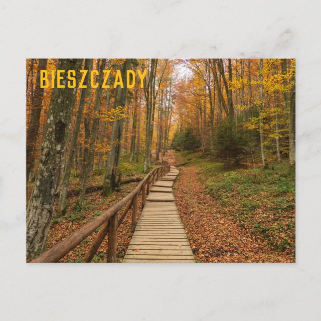 Path through the autumn forest. postcard (Front)
