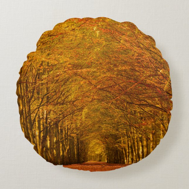 Path through the forest in autumn round pillow (Front)