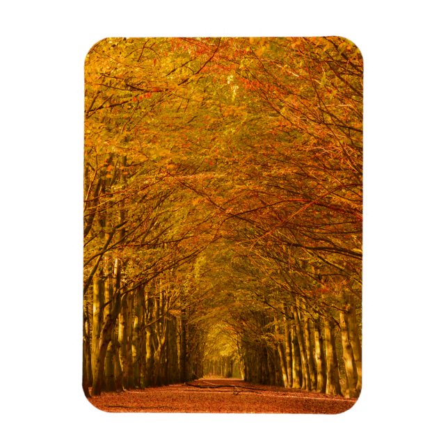 Path through the forest in autumn vertical magnet (Vertical)