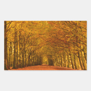 Path through the forest in fall rectangular sticke rectangular sticker