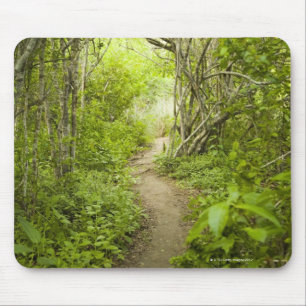 Path through the forest mouse mat