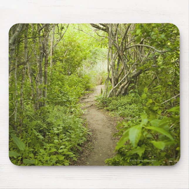 Path through the forest mouse mat (Front)