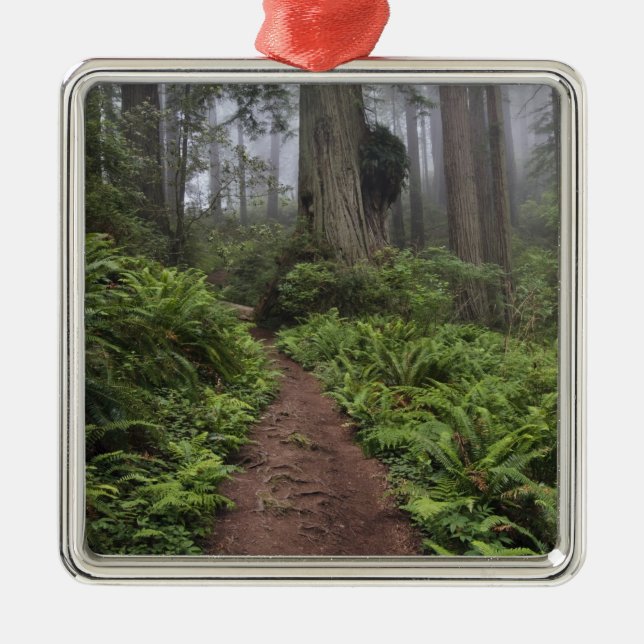 Path through the giant redwood trees shrouded 2 metal tree decoration (Front)