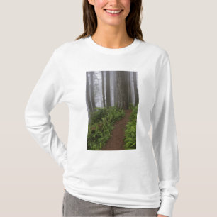 Path through the giant redwood trees shrouded T-Shirt