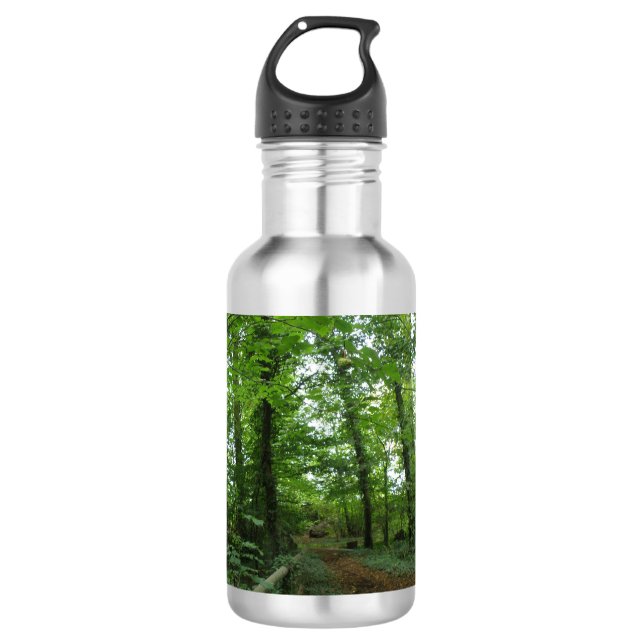 Path through the Green Forest 710 Ml Water Bottle (Front)