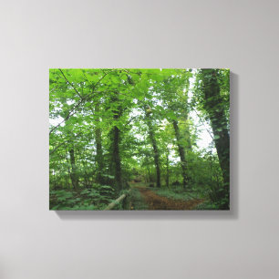 Path through the Green Forest Canvas Print