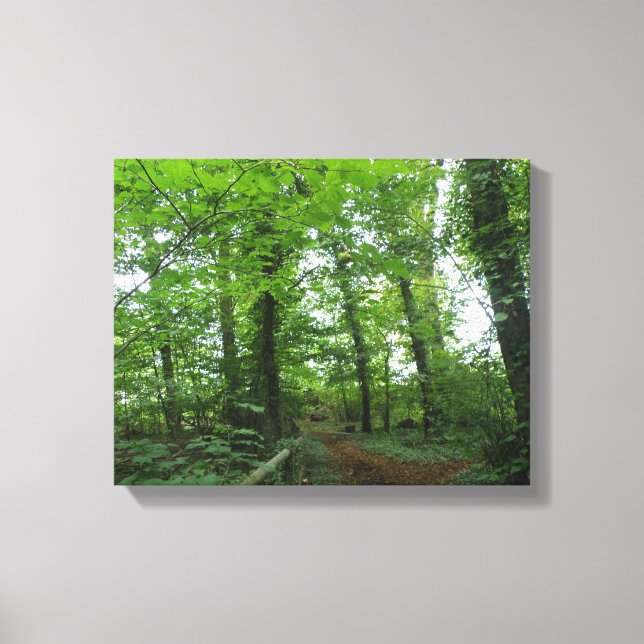 Path through the Green Forest Canvas Print (Front)