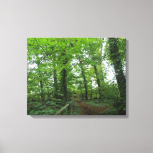 Path through the Green Forest Canvas Print
