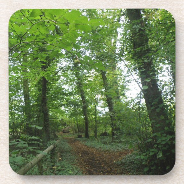 Path through the Green Forest Cork Coaster (Front)