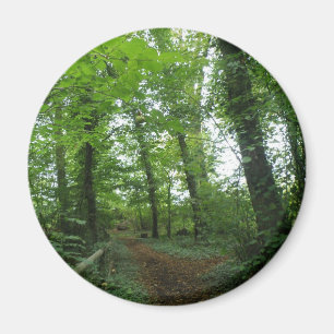 Path through the Green Forest Magnet